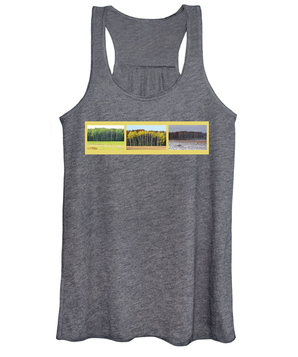 Trees Women's Tank Top featuring the photograph Aspen Triptych by Peter Ponzio