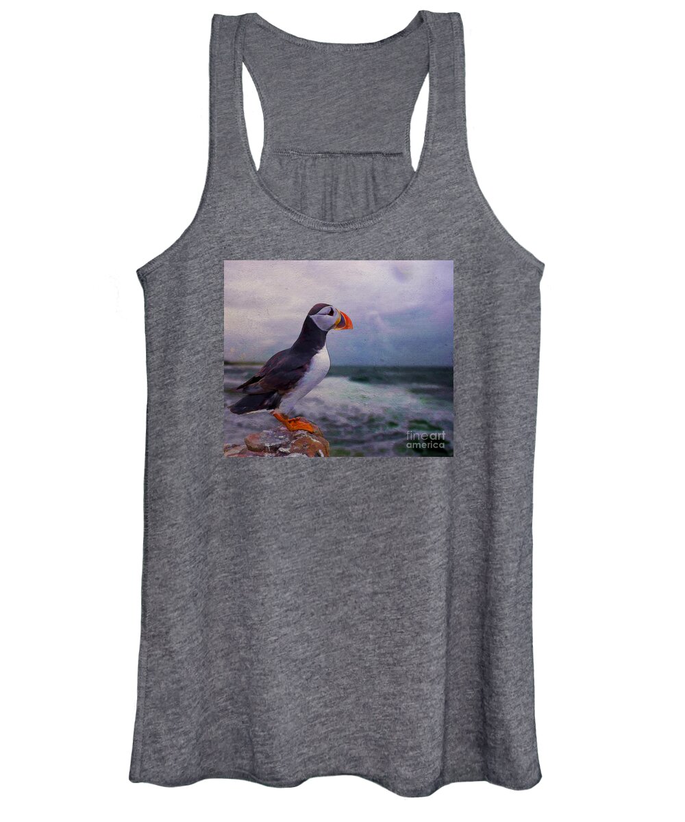Puffins Women's Tank Top featuring the painting Atlantic Puffin by Jim Hatch