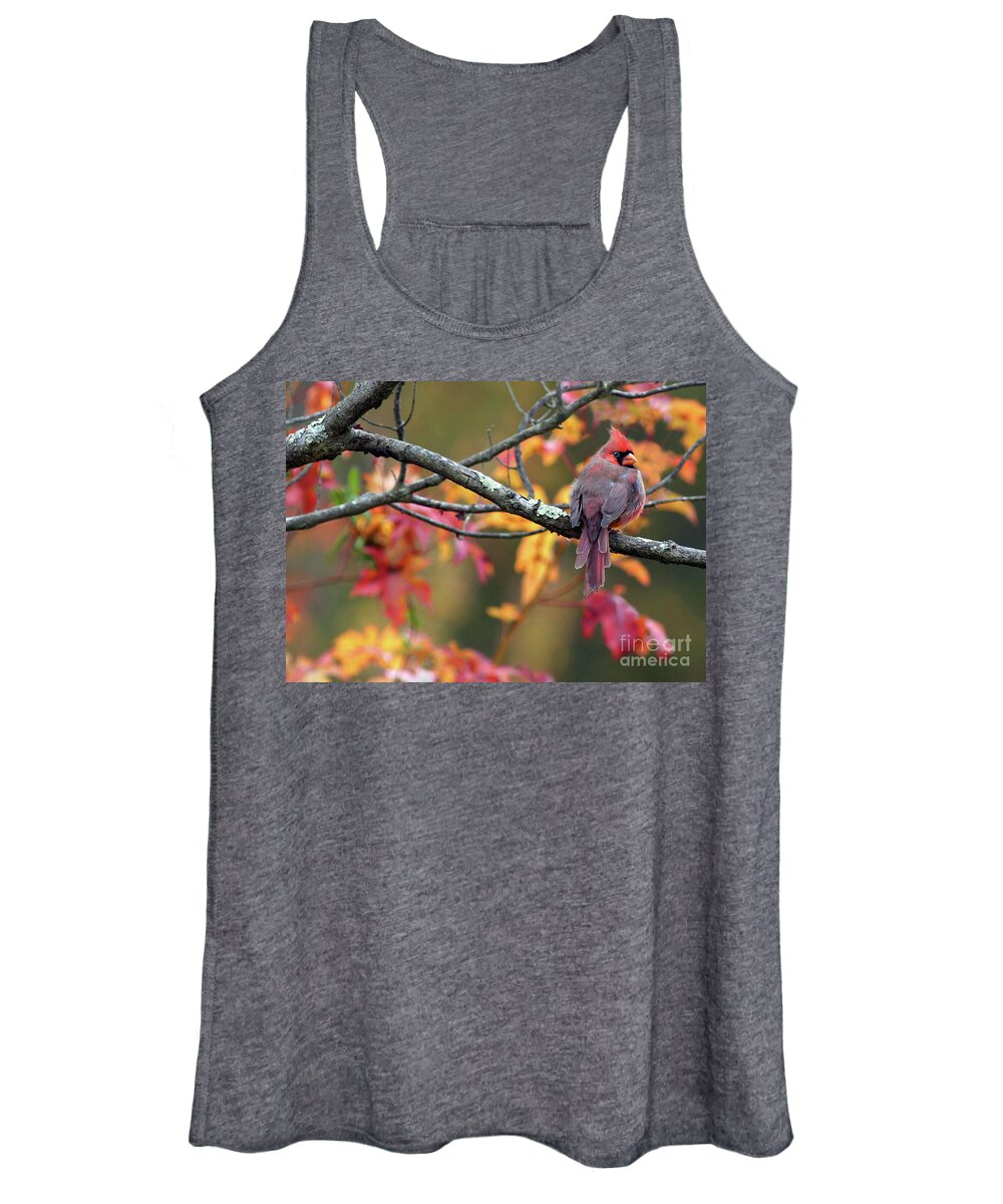 Male Cardinal Women's Tank Top featuring the photograph Autumn Hues by Art Cole