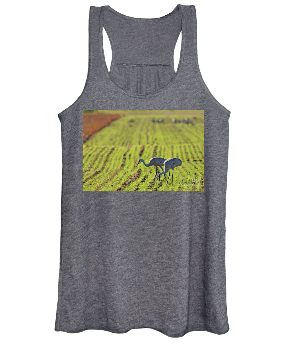 Crane Women's Tank Top featuring the photograph Autumn Sandhill Pair by Natural Focal Point Photography