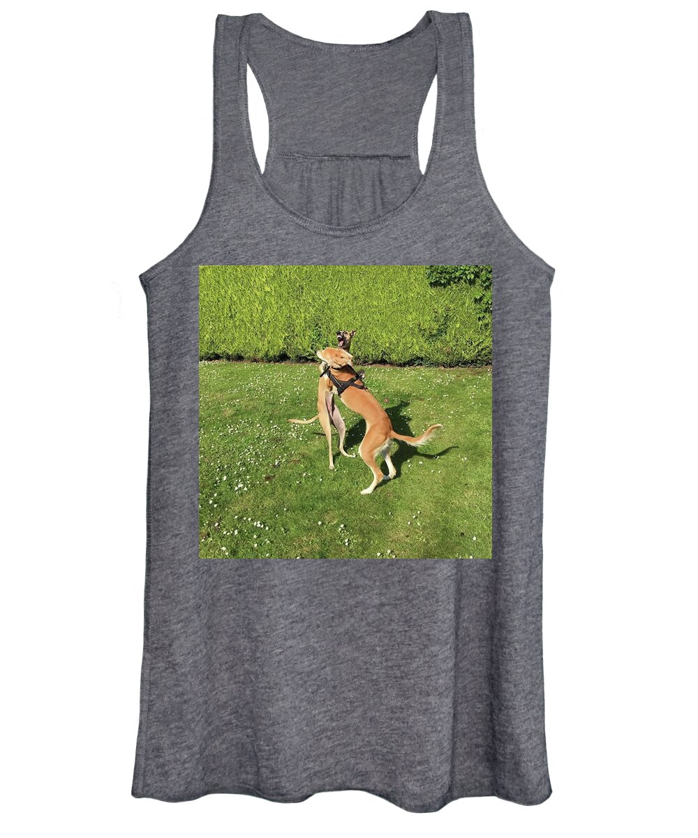Persiangreyhound Women's Tank Top featuring the photograph Ava The Saluki And Finly The Lurcher by John Edwards