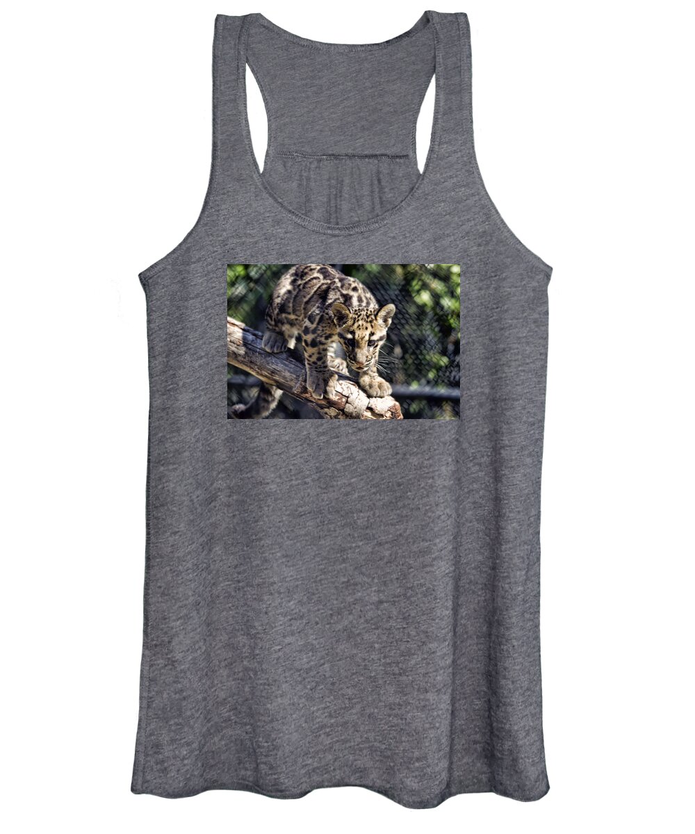 Brad Granger Women's Tank Top featuring the photograph Baby Clouded Leopard by Brad Granger