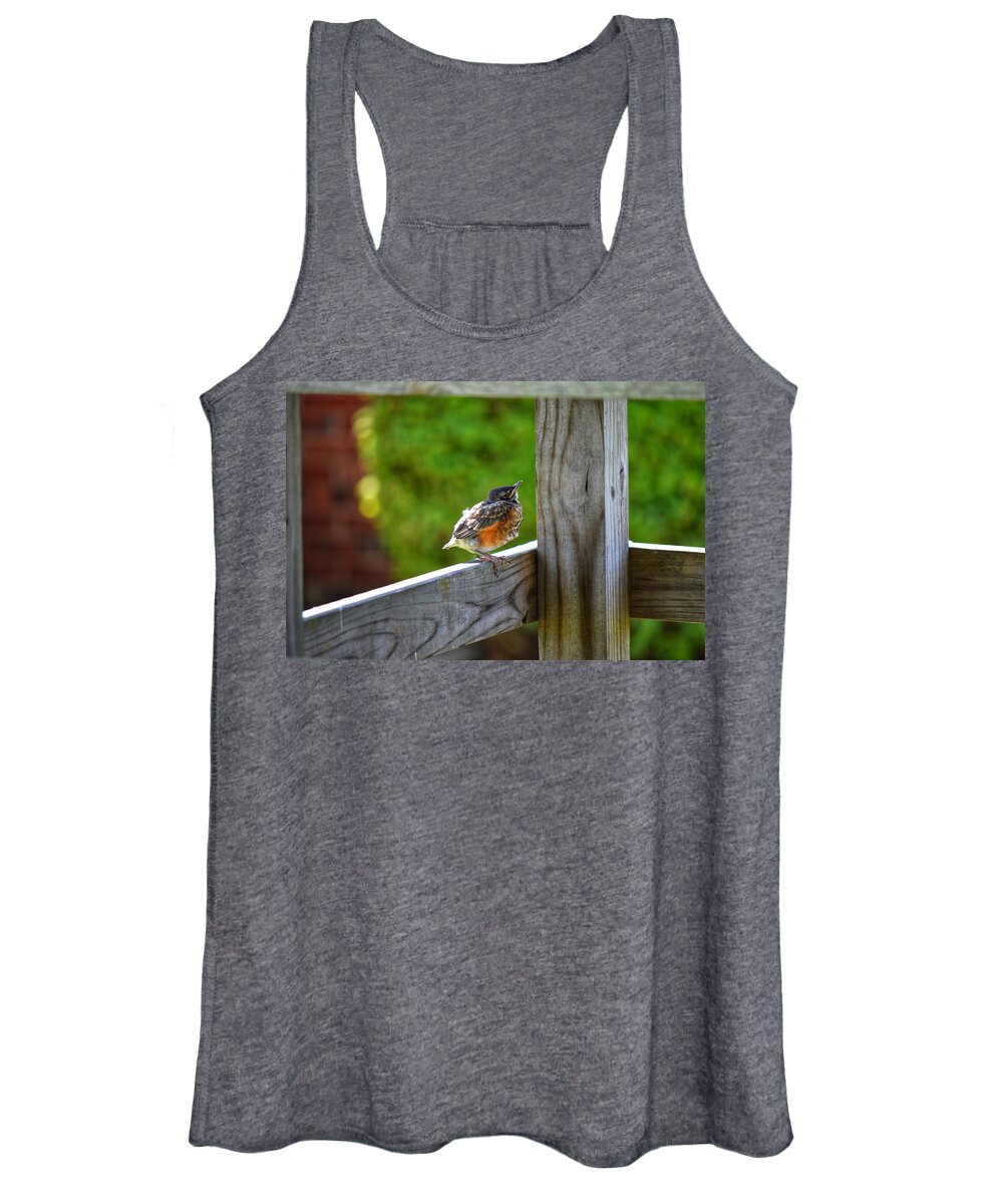 Robin Women's Tank Top featuring the photograph Baby Robin by Joseph Caban