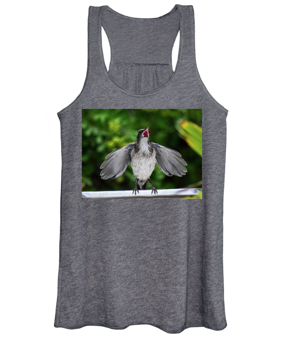 Linda Brody Women's Tank Top featuring the photograph Baby Scrub Jay Wants Food by Linda Brody