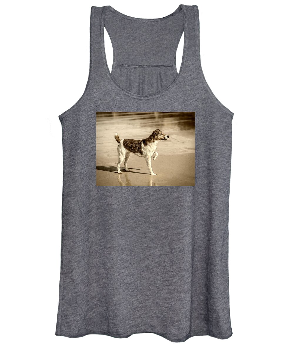 Dog Women's Tank Top featuring the photograph Beach Ready by Nick Bywater