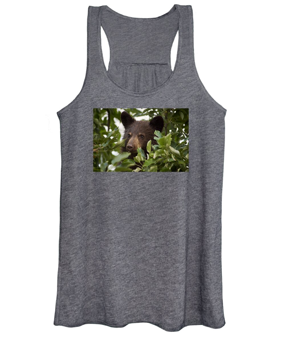 Black Bear Women's Tank Top featuring the photograph Bear Cub in Apple Tree6 by Loni Collins