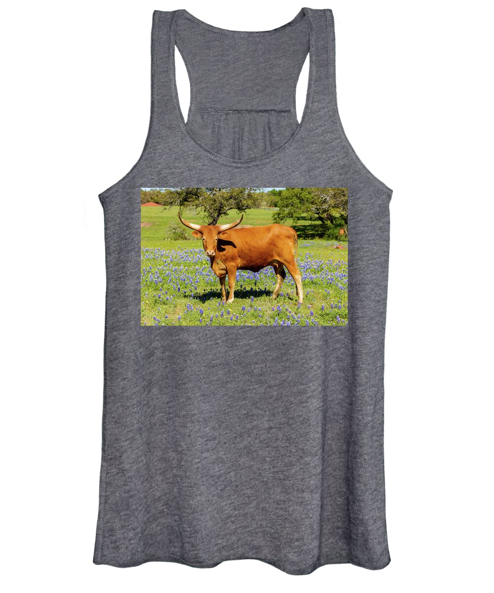 African Breed Women's Tank Top featuring the photograph Beautiful longhorn cow by Raul Rodriguez