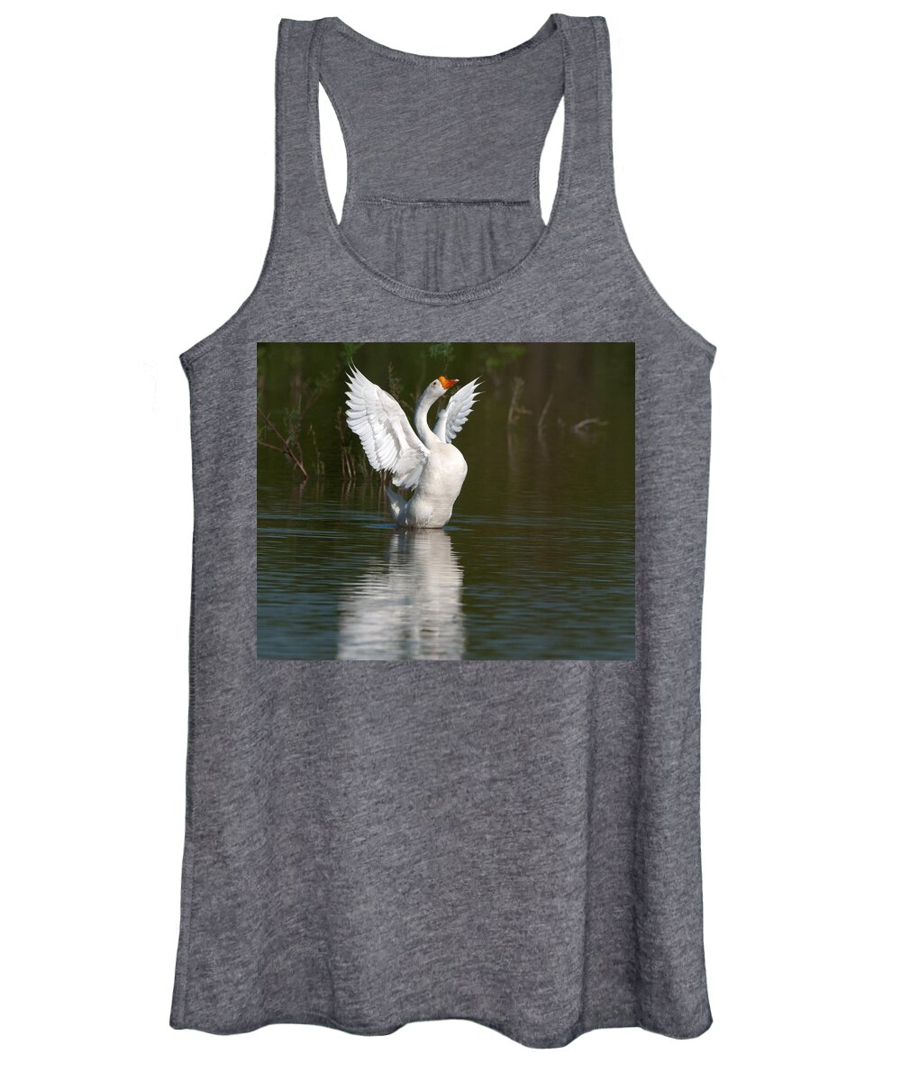 Goose Women's Tank Top featuring the photograph Beauty by Tam Ryan