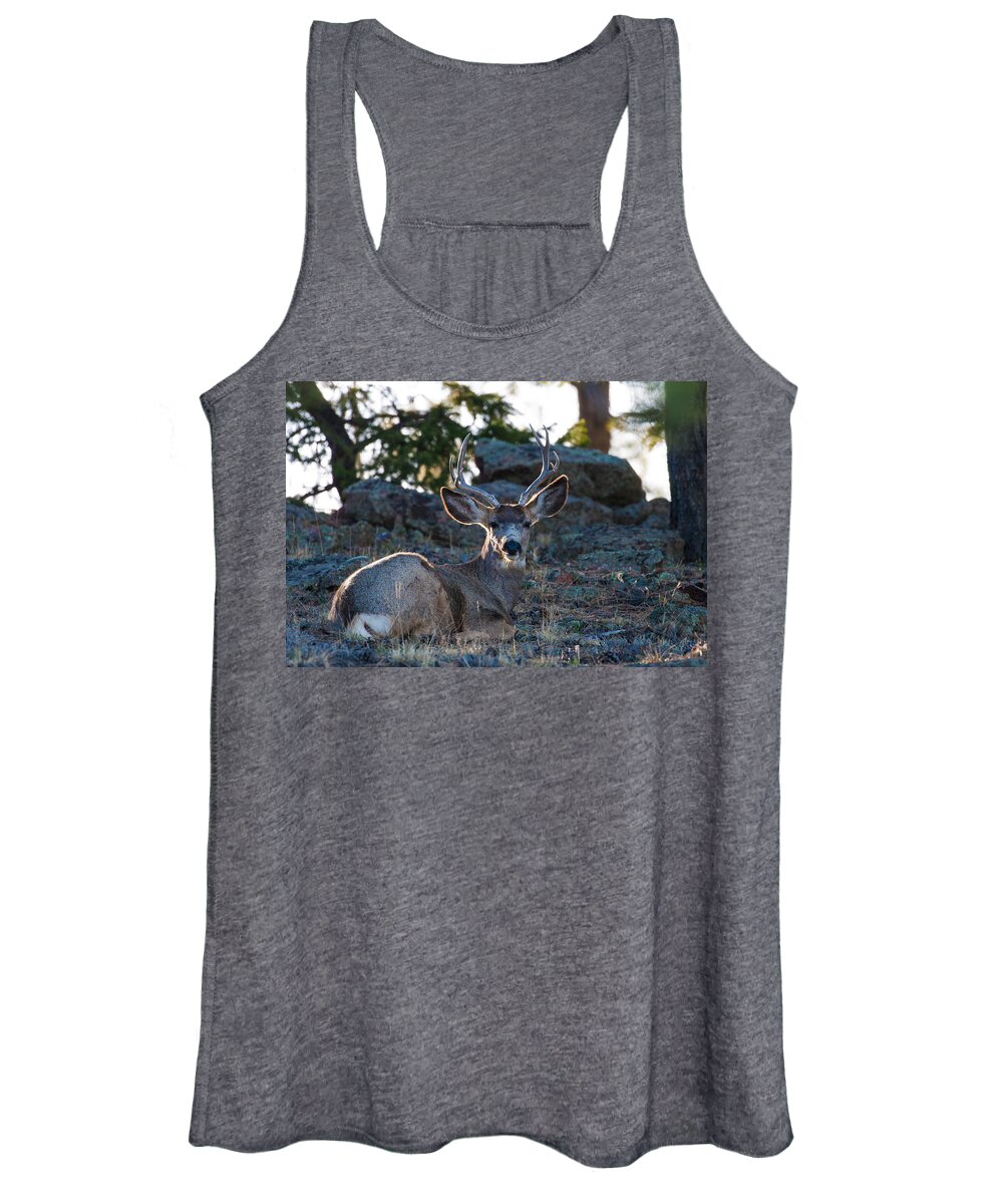 Mule Deer Women's Tank Top featuring the photograph Bed Down For The Evening by Mindy Musick King