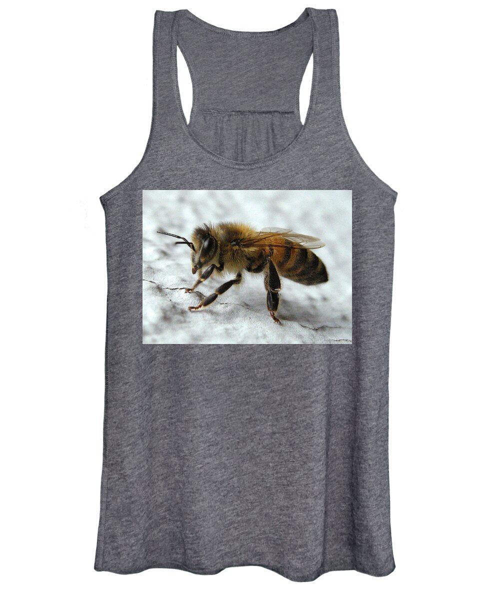 Bee Women's Tank Top featuring the photograph Bee On Wall by Erica Freeman