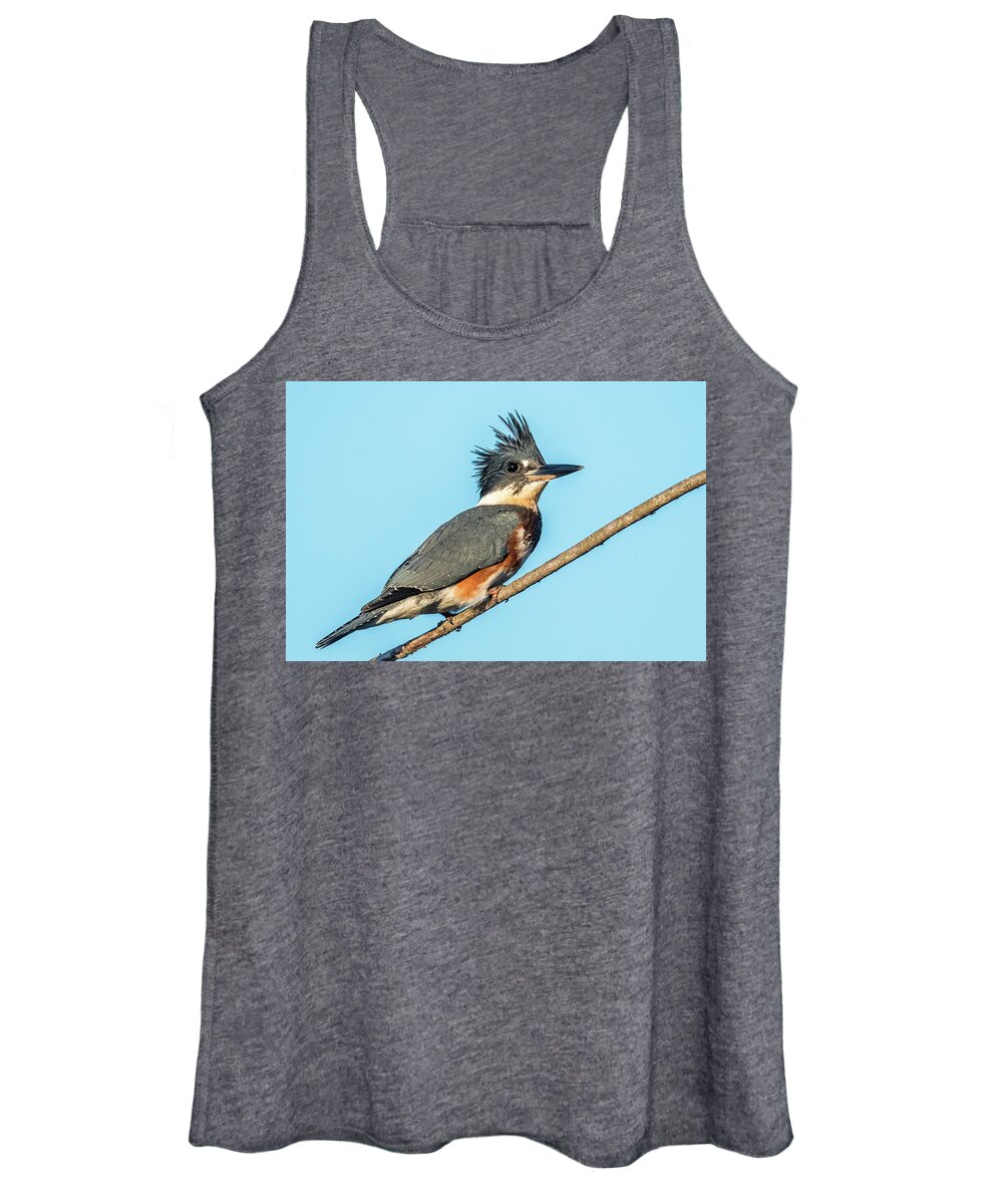 Belted Kingfisher Women's Tank Top featuring the photograph Belted Kingfisher portrait by Paul Freidlund
