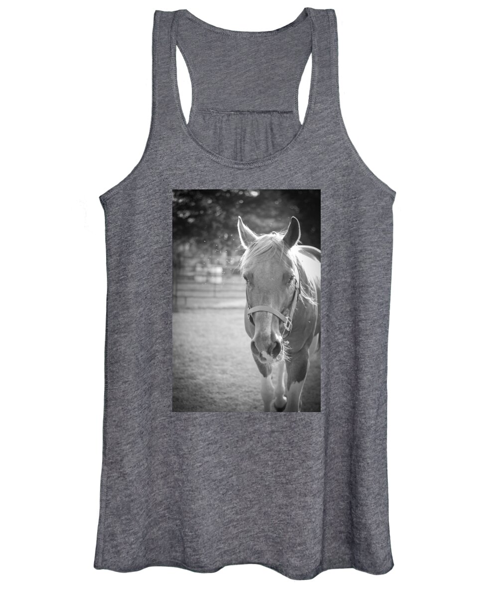Kelly Hazel Women's Tank Top featuring the photograph Black and White Portrait of a Horse in the Sun by Kelly Hazel