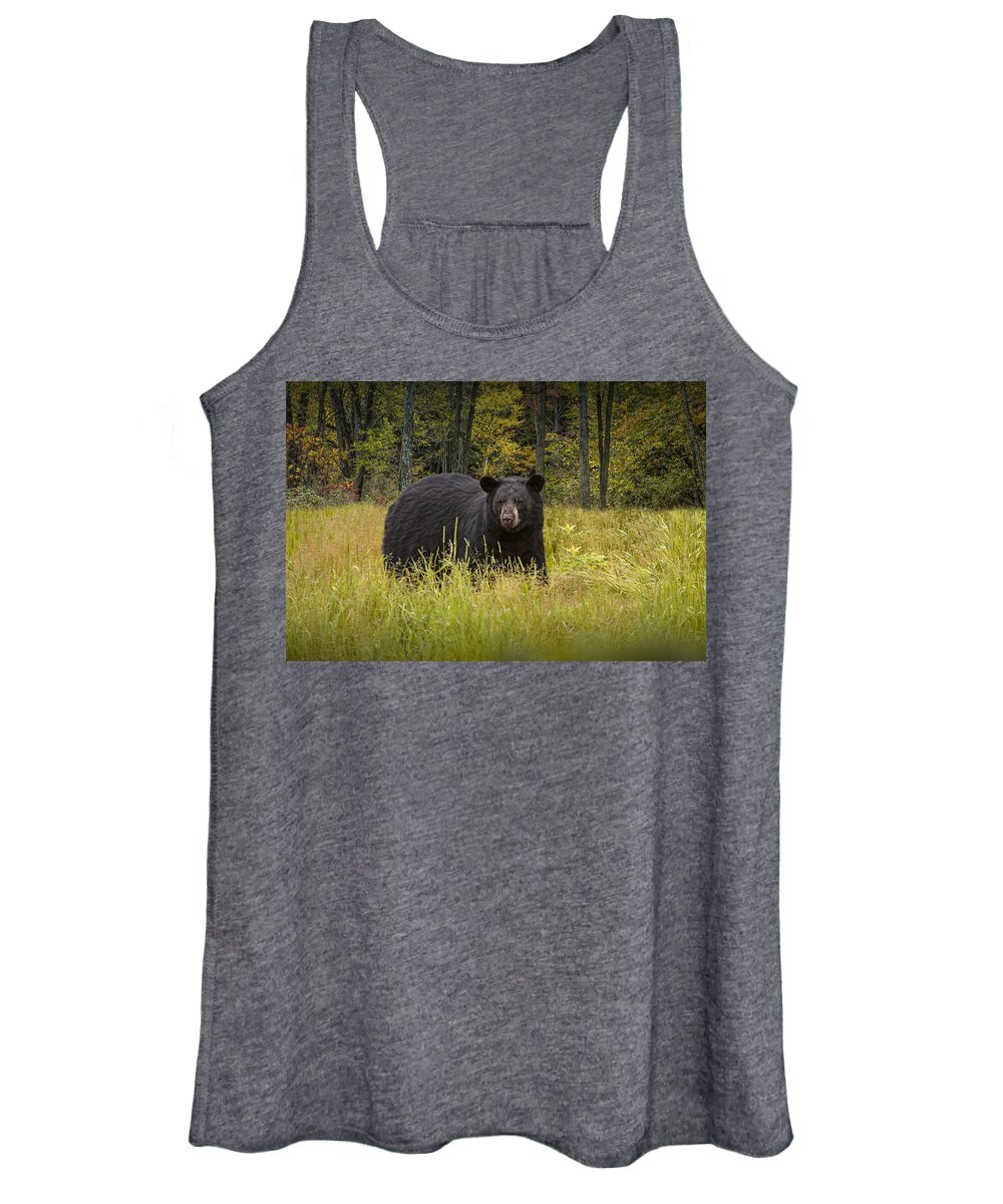 Wildlife Women's Tank Top featuring the photograph Black Bear in the Grass by Randall Nyhof