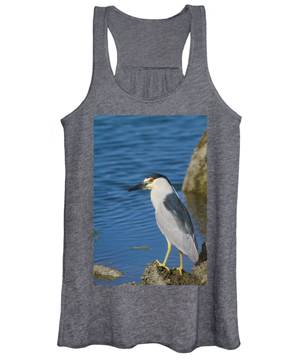Mark Miller Photos Women's Tank Top featuring the photograph Black-crowned Night Heron by Mark Miller