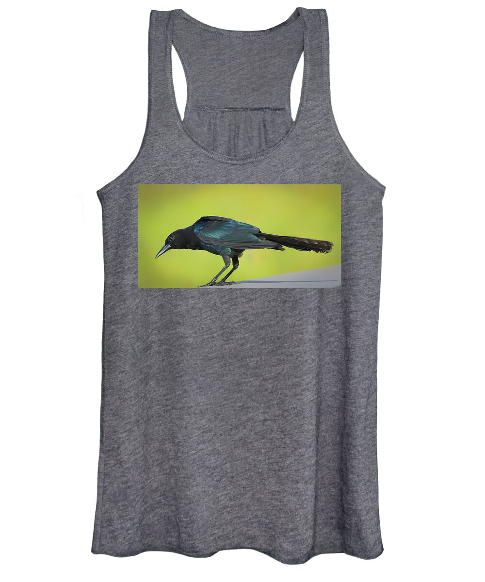 Boat Women's Tank Top featuring the photograph Boat-Tailed Grackle Male by Richard Goldman
