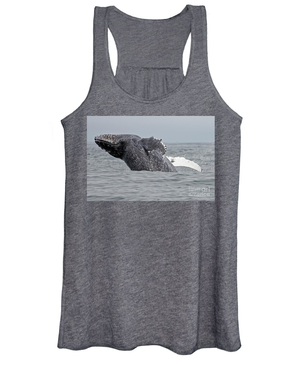 Humpback Women's Tank Top featuring the photograph Breach by Natural Focal Point Photography