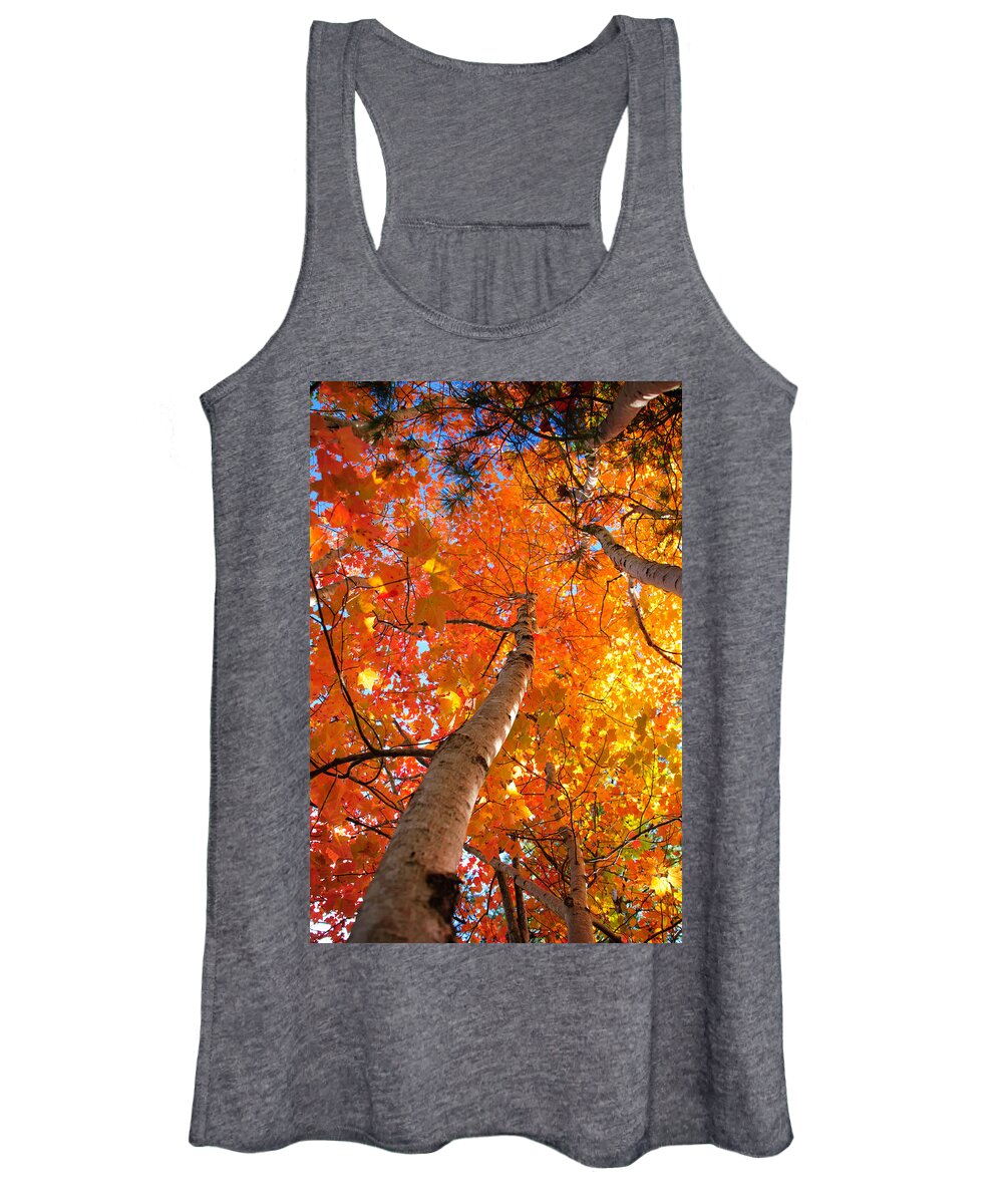 Maine Women's Tank Top featuring the photograph Brilliant Tree in Arcadia by Roberta Kayne