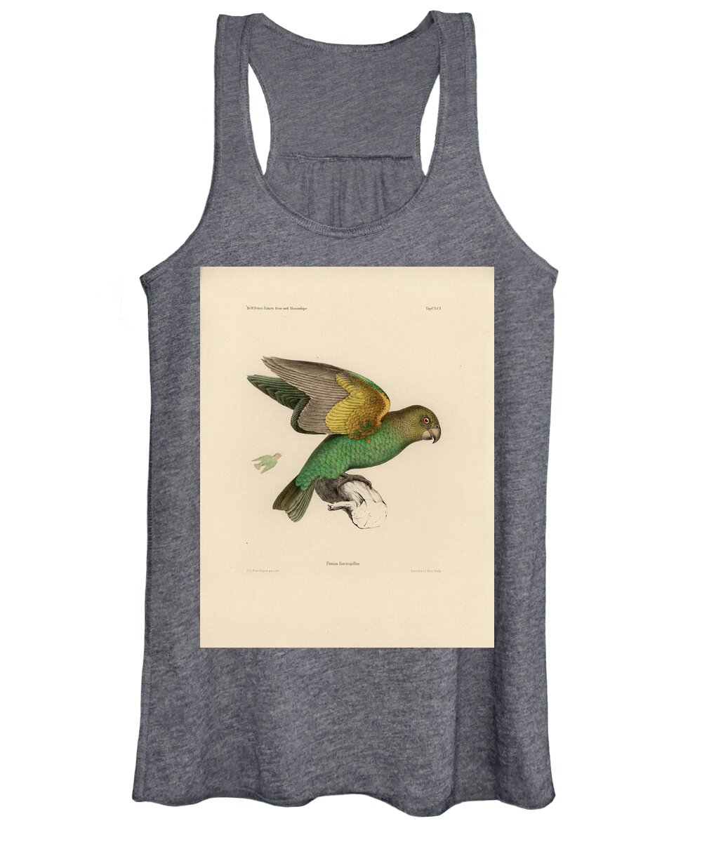 Brown-headed Parrot Women's Tank Top featuring the drawing Brown-headed Parrot, Piocephalus cryptoxanthus by J D L Franz Wagner
