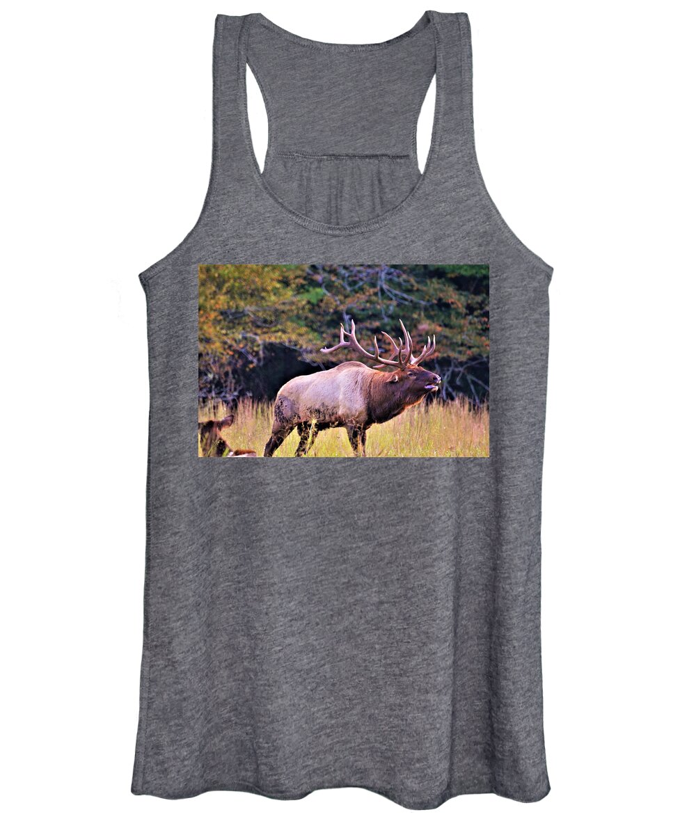 Rut Women's Tank Top featuring the photograph Bull calling his herd by Chuck Brown