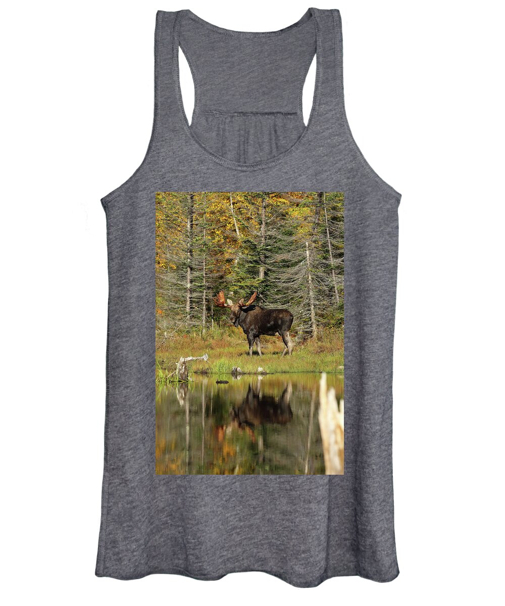 Moose Women's Tank Top featuring the photograph Bull Moose at the Pond by Duane Cross