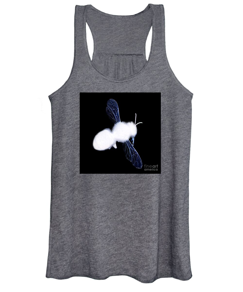 Bumble Bee Women's Tank Top featuring the photograph Bumble Bee by Clayton Bastiani