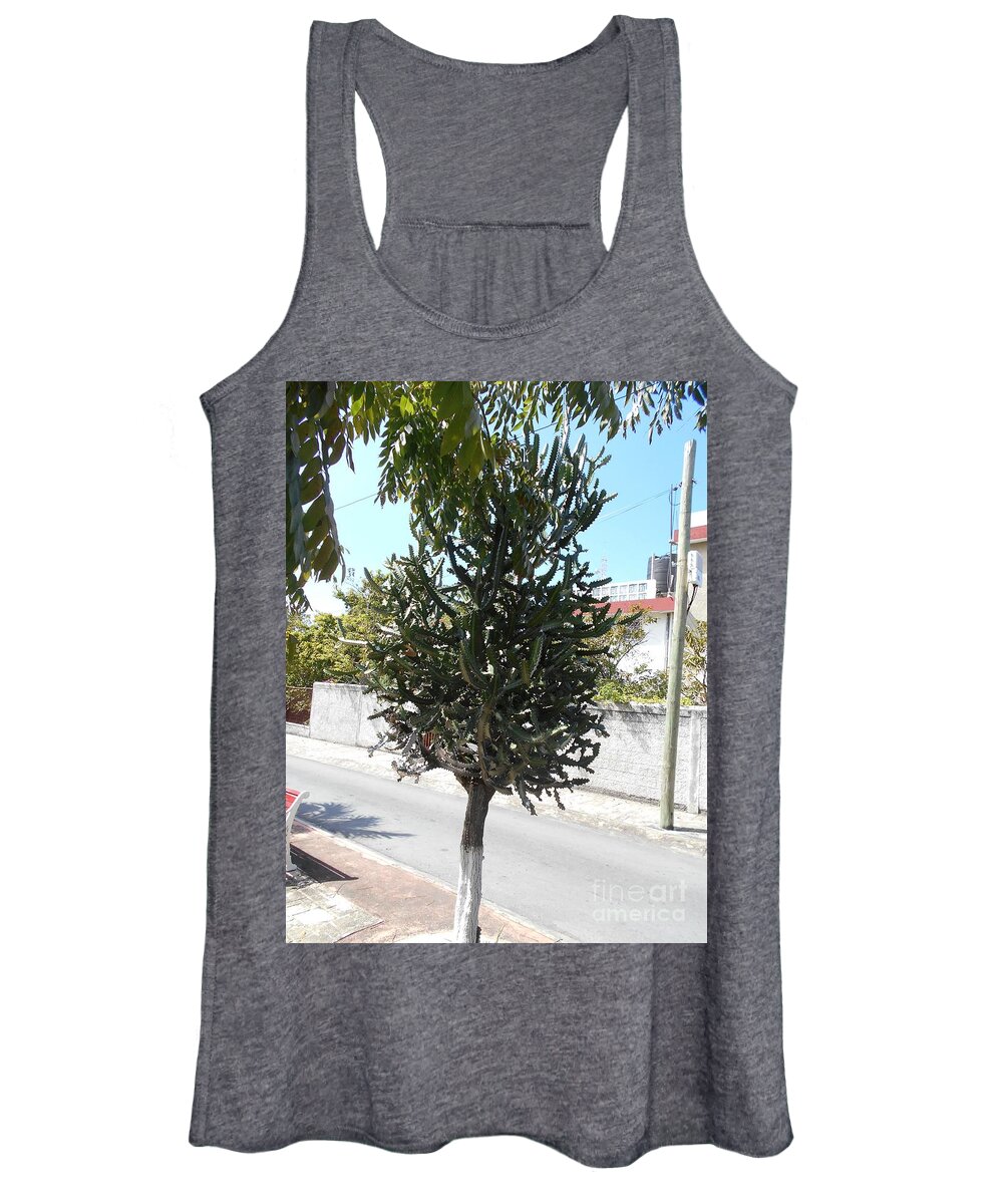 Tree Women's Tank Top featuring the photograph Cactus tree in Cozumel, Mexico by Nancy Graham