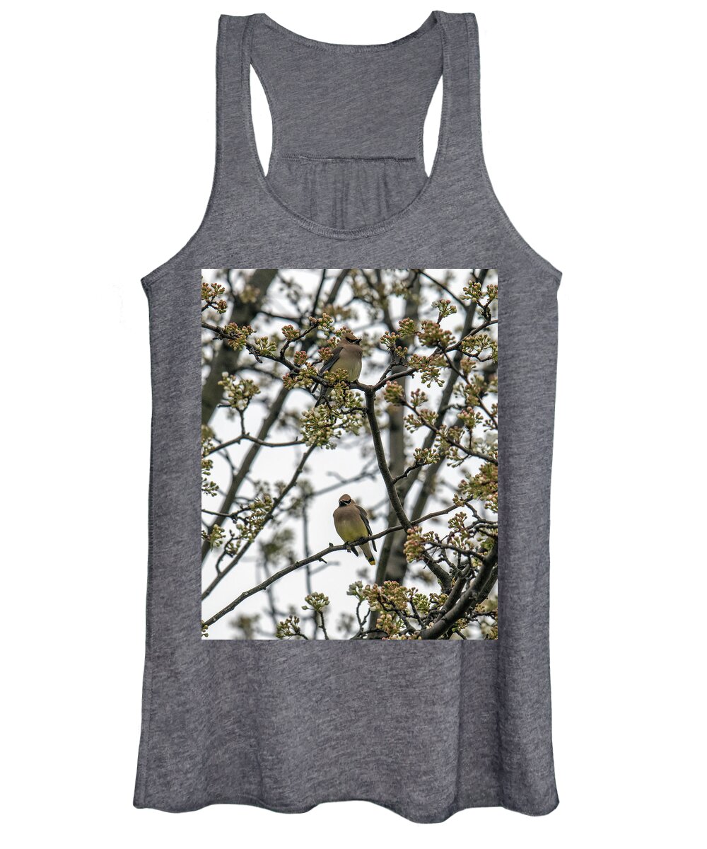 Bird Women's Tank Top featuring the photograph Cedar Waxwings In A Blossoming Tree by William Bitman