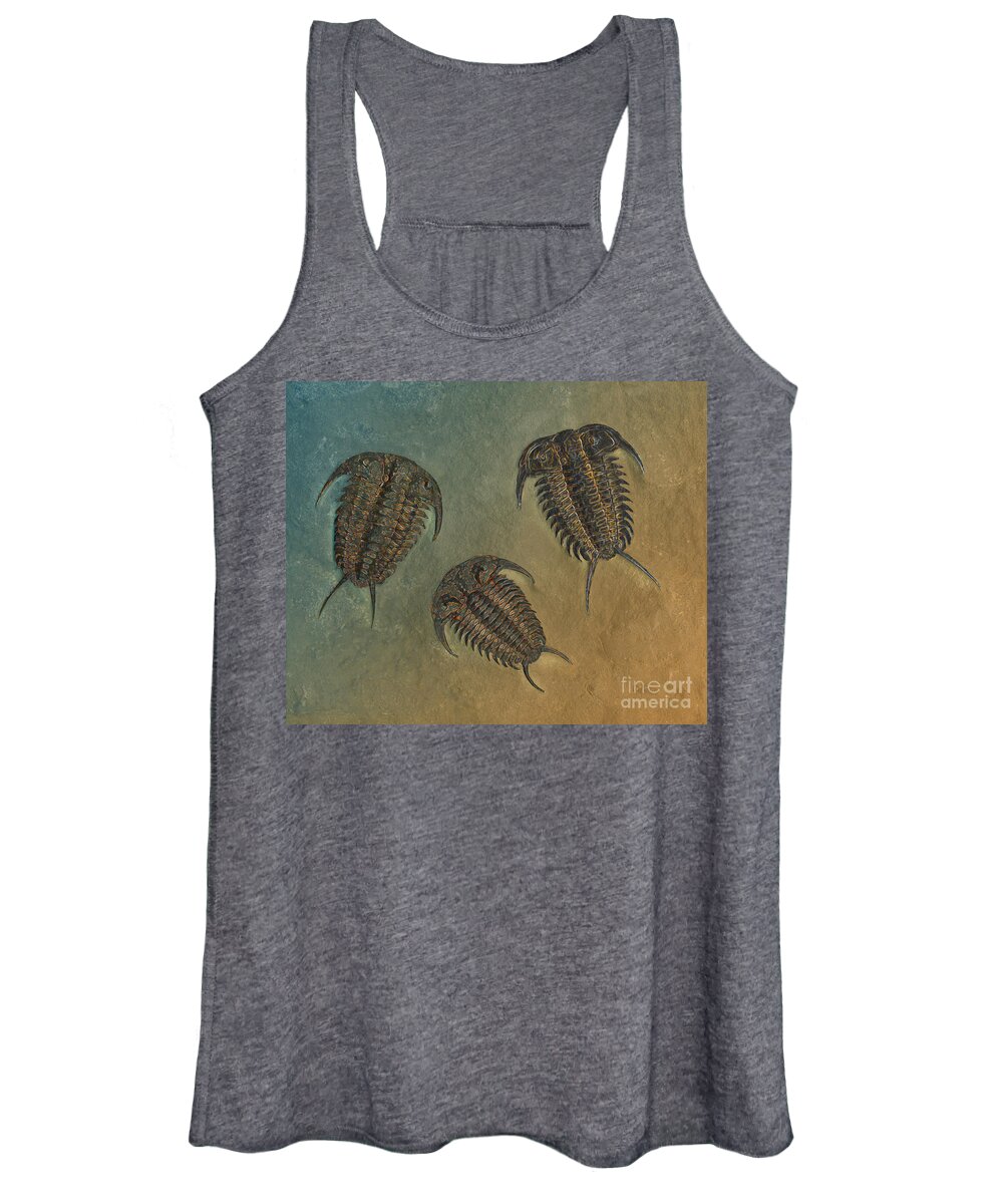 Trilobite Women's Tank Top featuring the photograph Ceraurus and Leviceraurus by Melissa A Benson