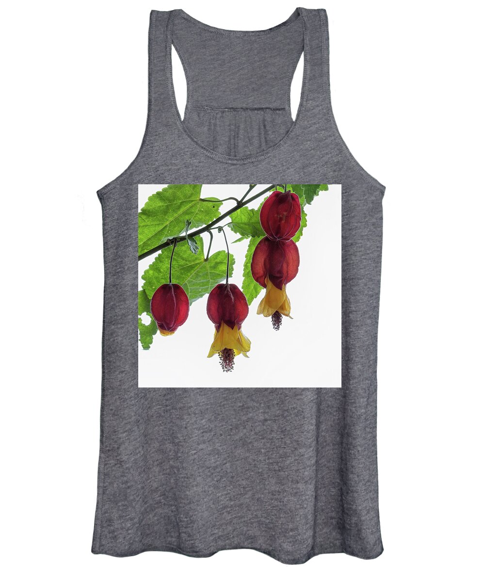 Shrub Women's Tank Top featuring the photograph Chinese lantern 4 by Shirley Mitchell