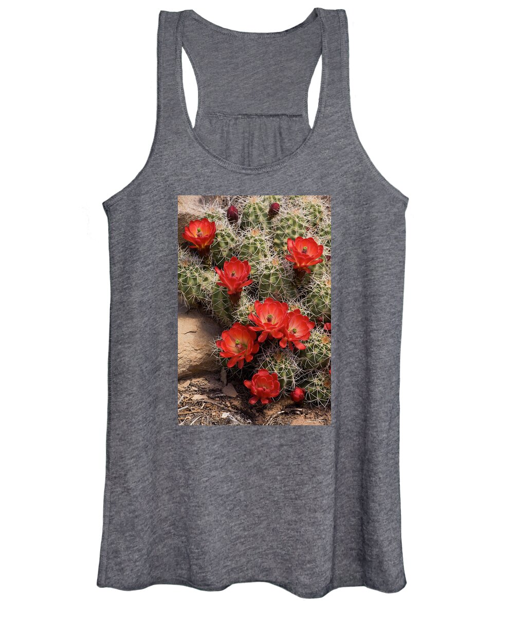 Wildflowers Women's Tank Top featuring the photograph Claret Cup Cactus by Dan Norris