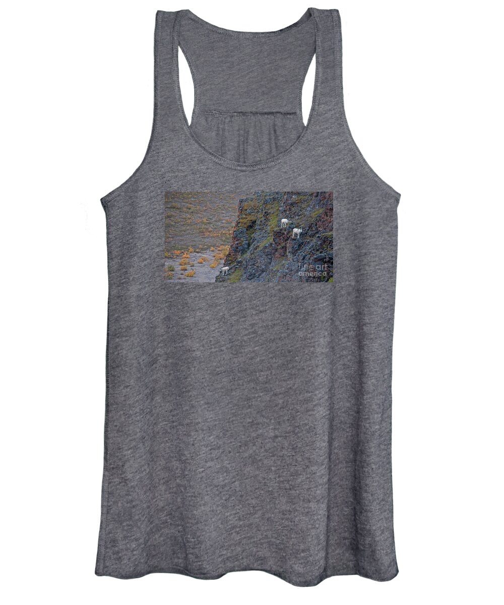 Sheep Women's Tank Top featuring the photograph Cliffhangers by Jim Cook