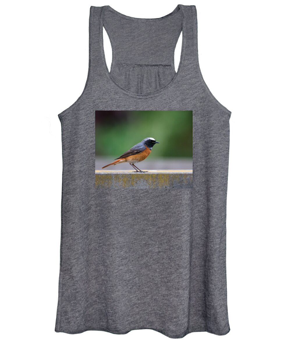 Common Redstart Women's Tank Top featuring the photograph Common Redstart by Claudio Maioli