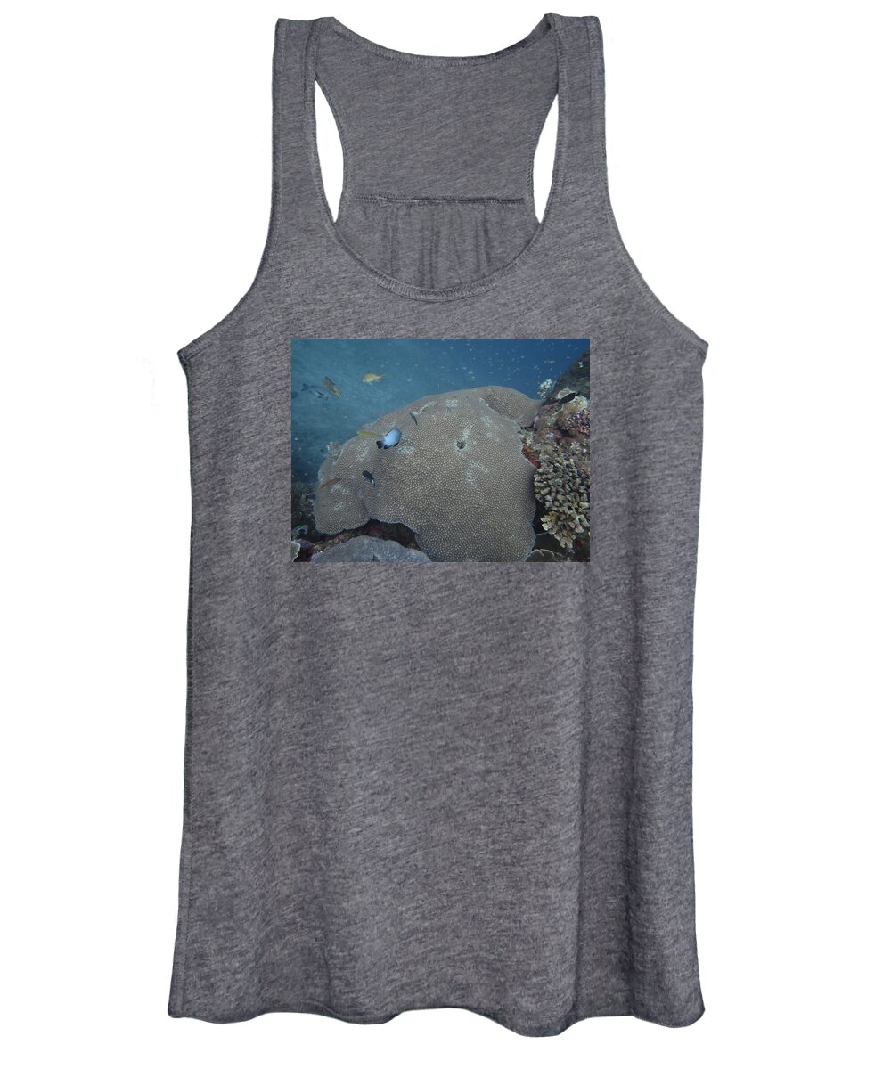 #fish #ocean #tropical #diving #scuba #corall #sea# Water# #kristall #clear #summer #holiday #natur #water Women's Tank Top featuring the photograph Corall by Pauli Stocker