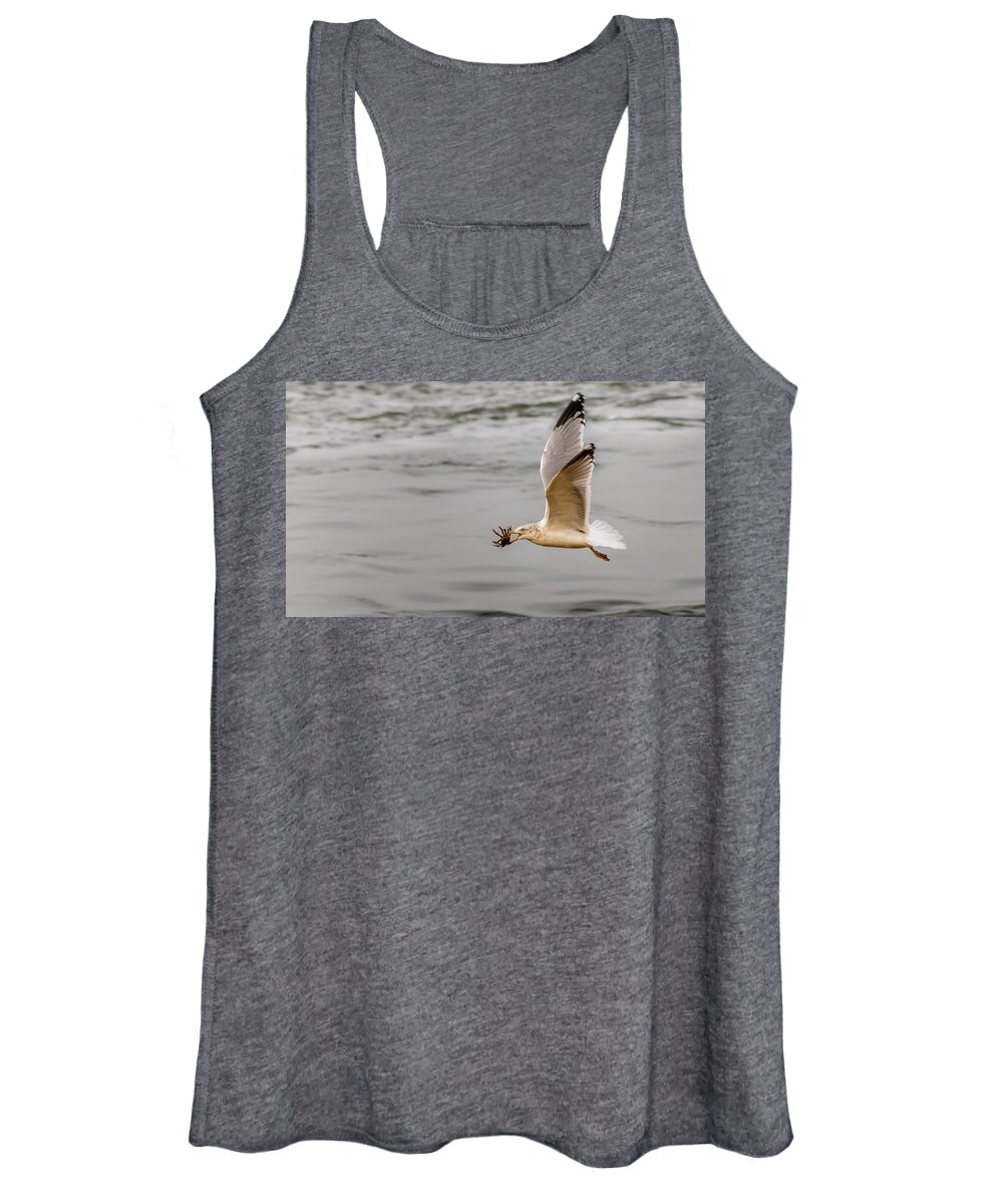 Animal Women's Tank Top featuring the photograph Crab with Seagull in flight by SAURAVphoto Online Store