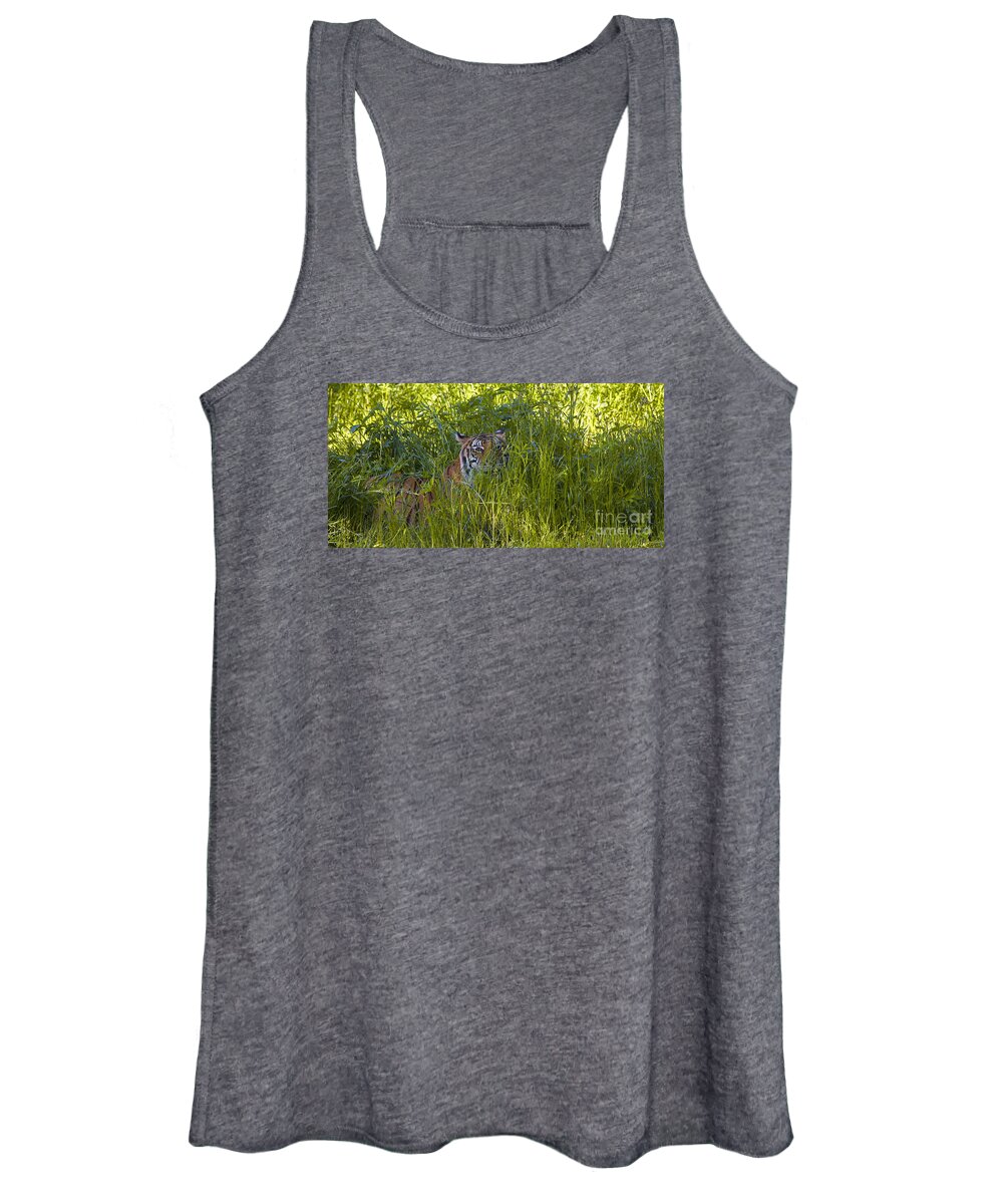 Crouching Tiger Women's Tank Top featuring the photograph Crouching Tiger by Keith Kapple