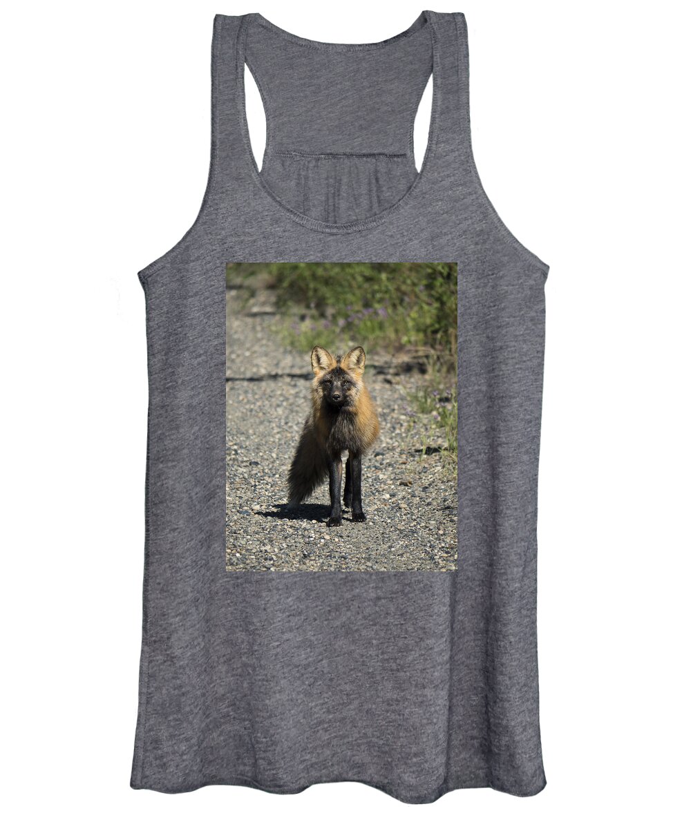 Cross Fox Women's Tank Top featuring the photograph Curious Cross by Ian Johnson