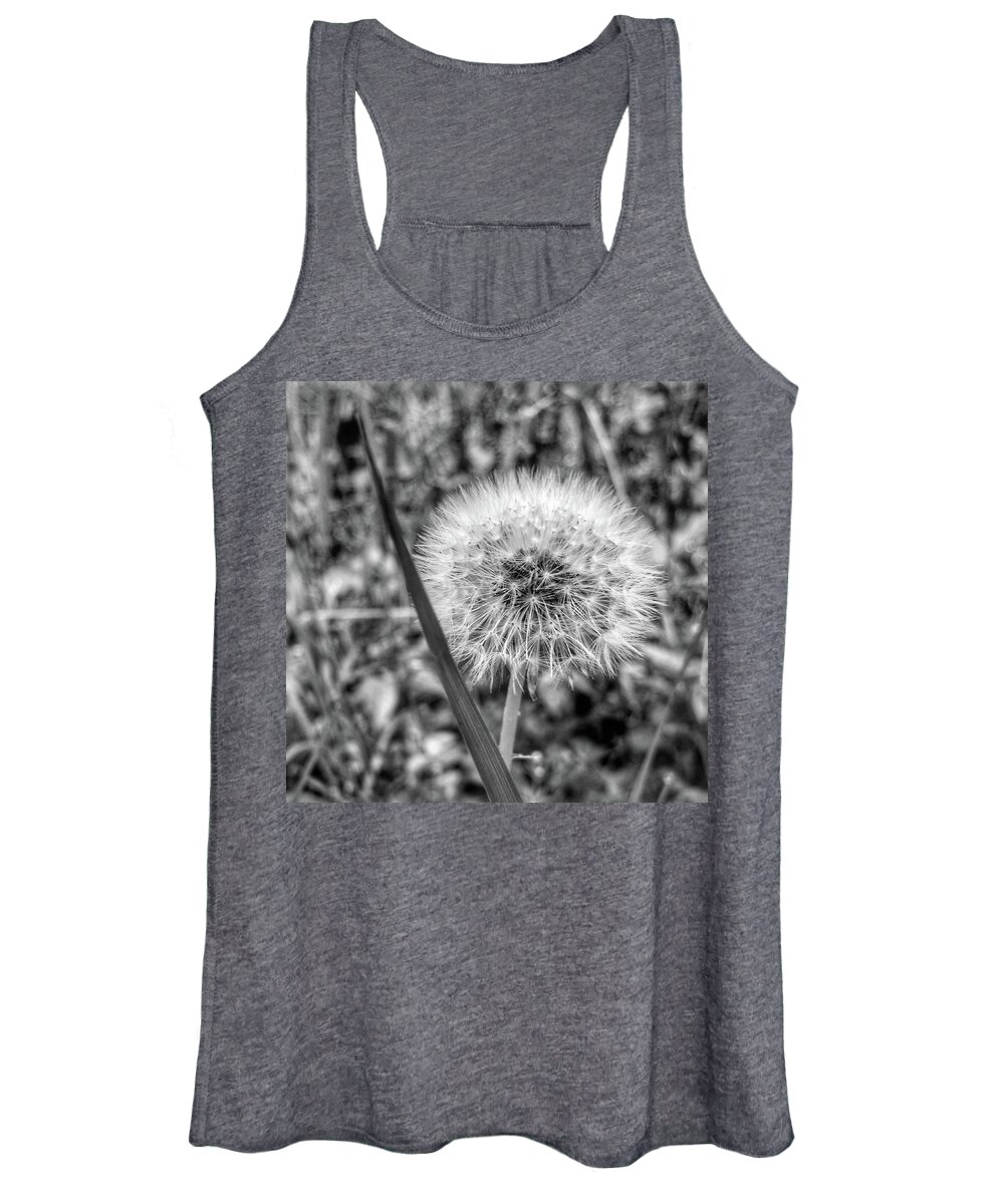 Weed Women's Tank Top featuring the photograph Dandelion by Al Harden