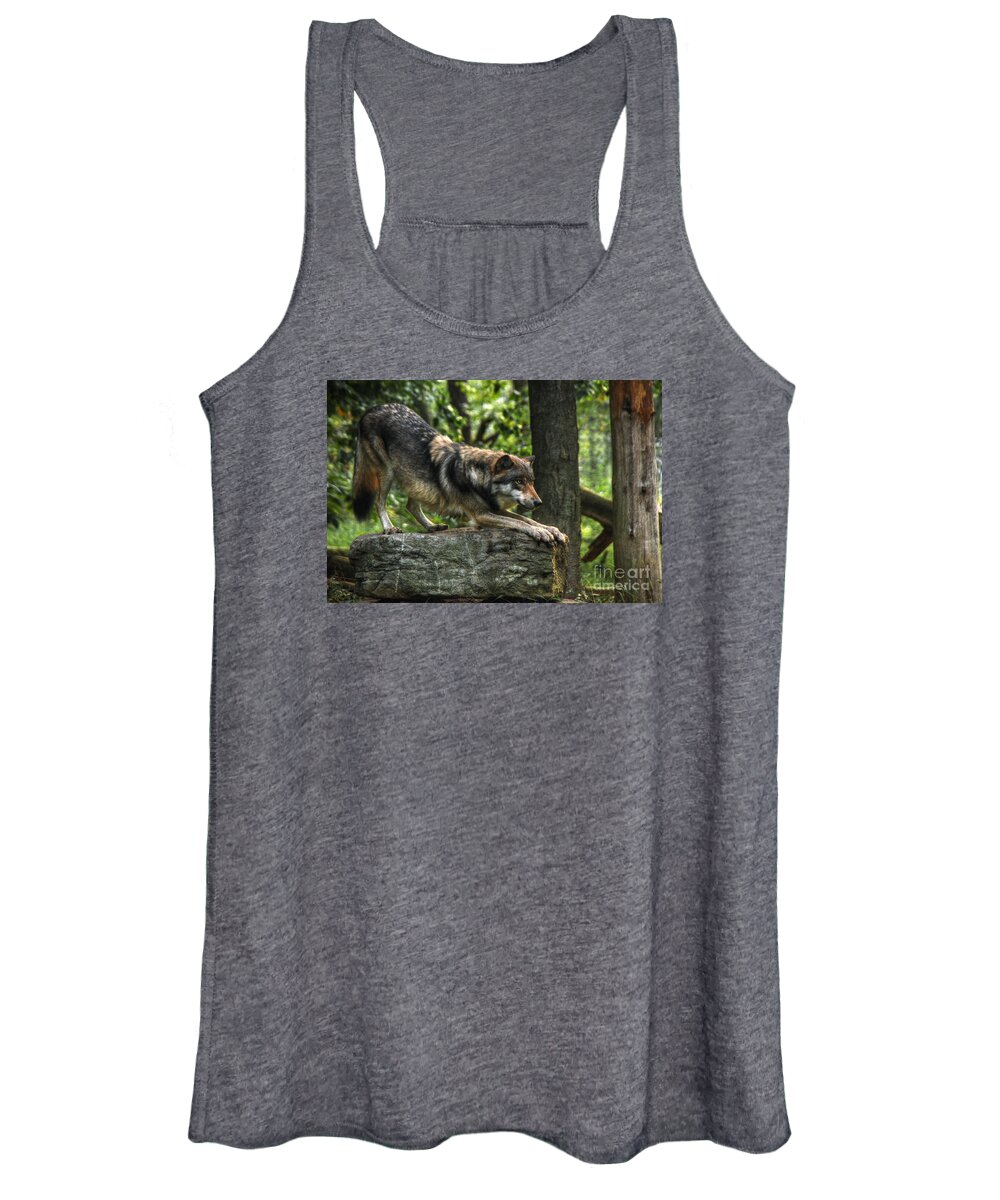 Downward Facing Wolf Women's Tank Top featuring the digital art Downward Facing Wolf by William Fields