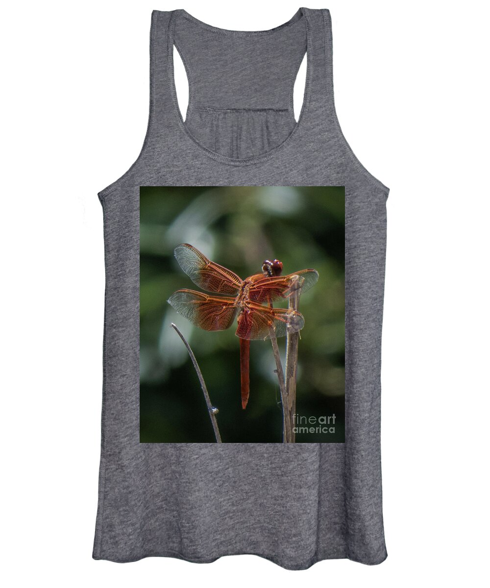 Dragonfly Women's Tank Top featuring the photograph Dragonfly 9 by Christy Garavetto