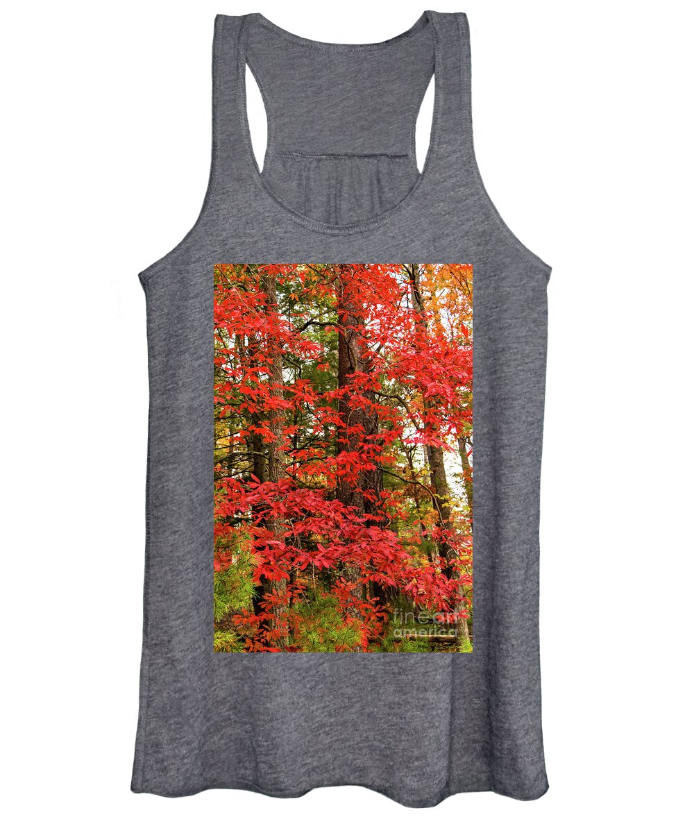 Forest Women's Tank Top featuring the photograph Dressed In Red by Jo Ann Gregg