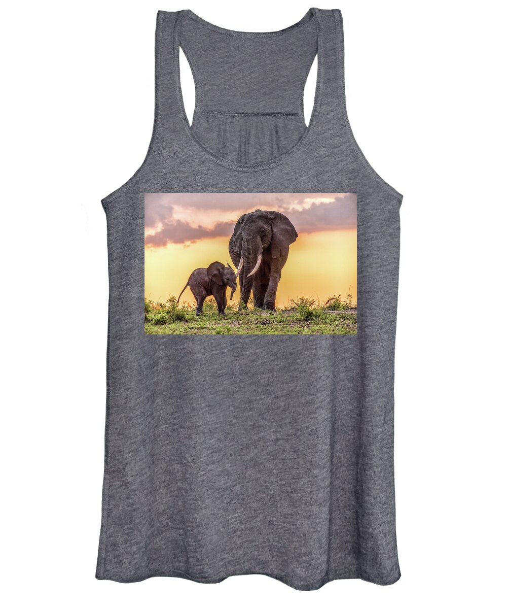 Elephants Women's Tank Top featuring the photograph Elephants at Sunset by Janis Knight