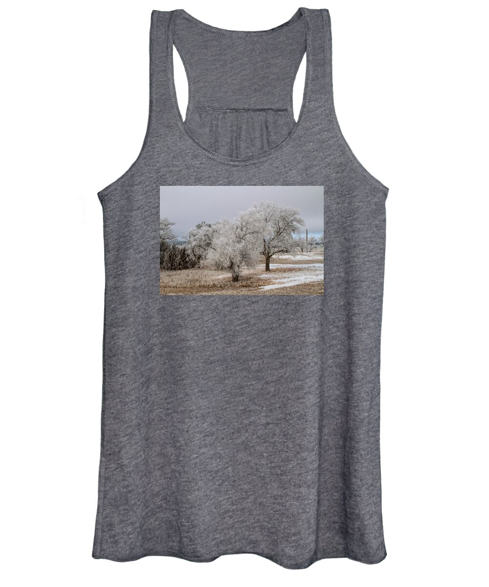 Elm Tree Women's Tank Top featuring the photograph Elm Frosting by Alana Thrower
