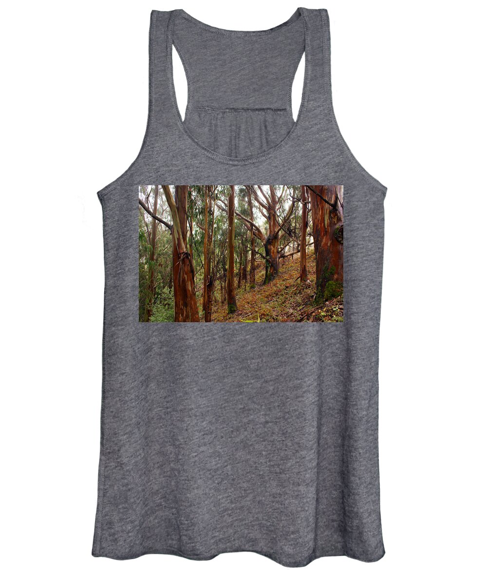 Forest Women's Tank Top featuring the photograph Eucalyptus Grove in California by Ben Upham III