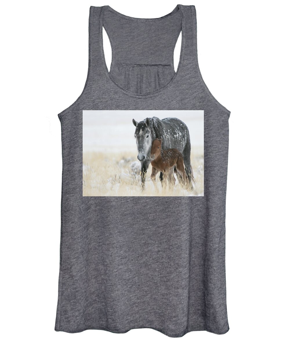 Horse Women's Tank Top featuring the photograph February Colt by Kent Keller