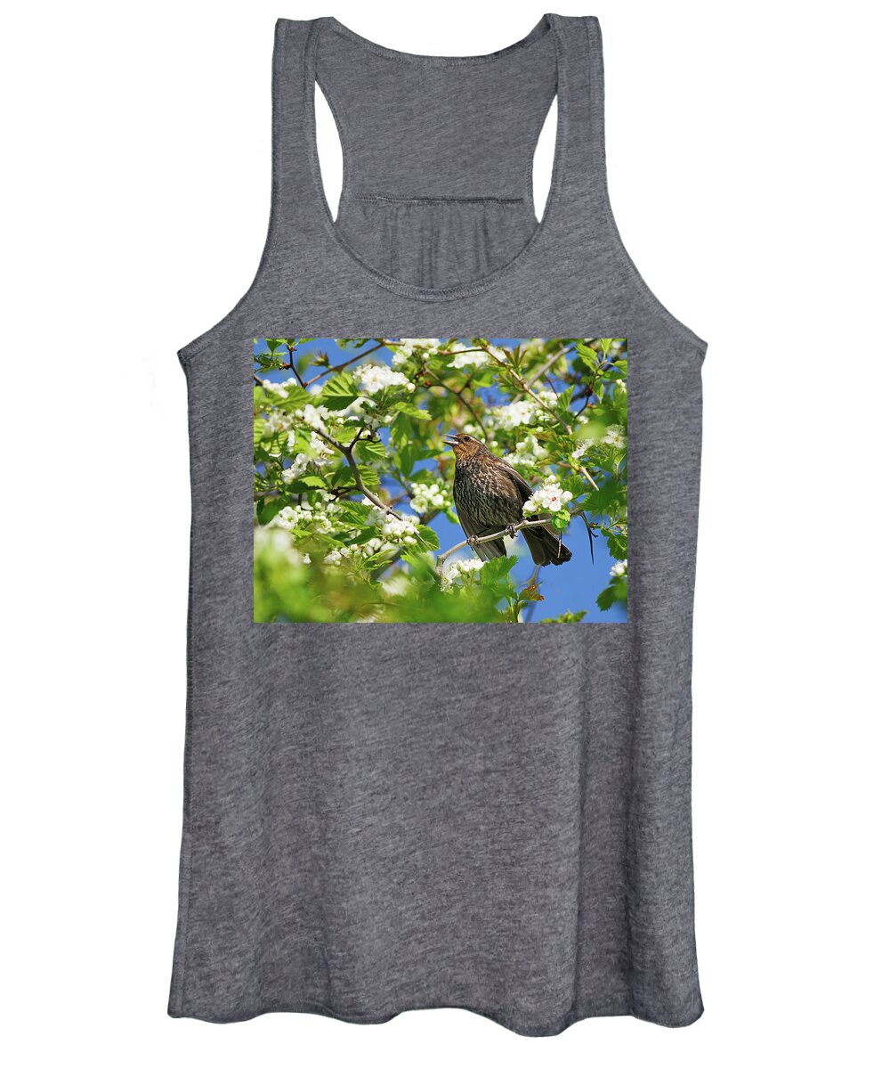 Red-winged Women's Tank Top featuring the photograph Female Red-winged Blackbird by Tony Beck
