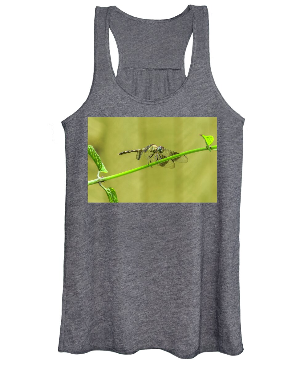 Dragonfly Women's Tank Top featuring the photograph Fighting the wind by Wolfgang Stocker
