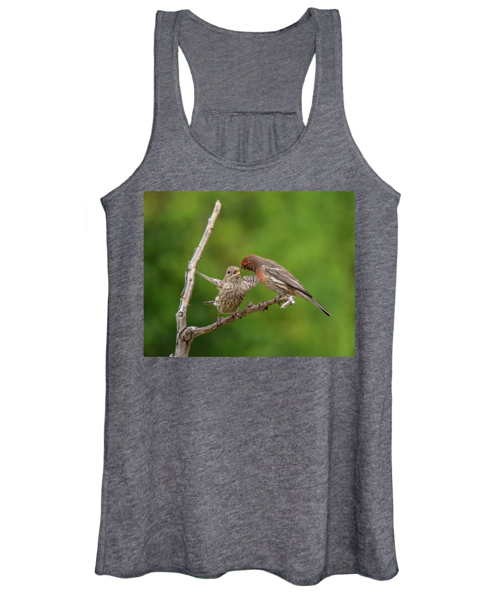 Linda Brody Women's Tank Top featuring the photograph Finch Feeding Time I by Linda Brody