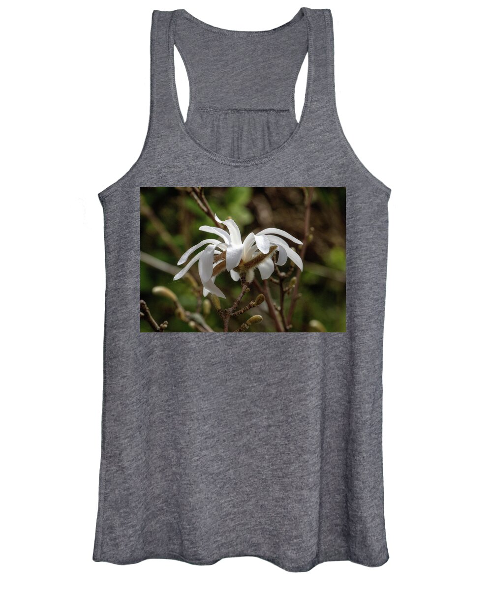 Magnolia Women's Tank Top featuring the photograph First Magnolia by Jeff Townsend
