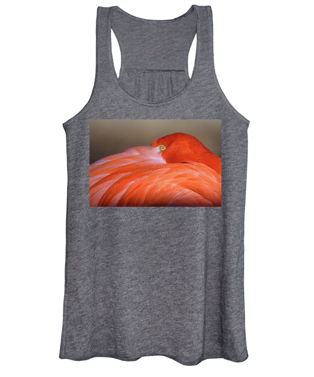 Flamingo Women's Tank Top featuring the photograph Flamingo by Michael Hubley