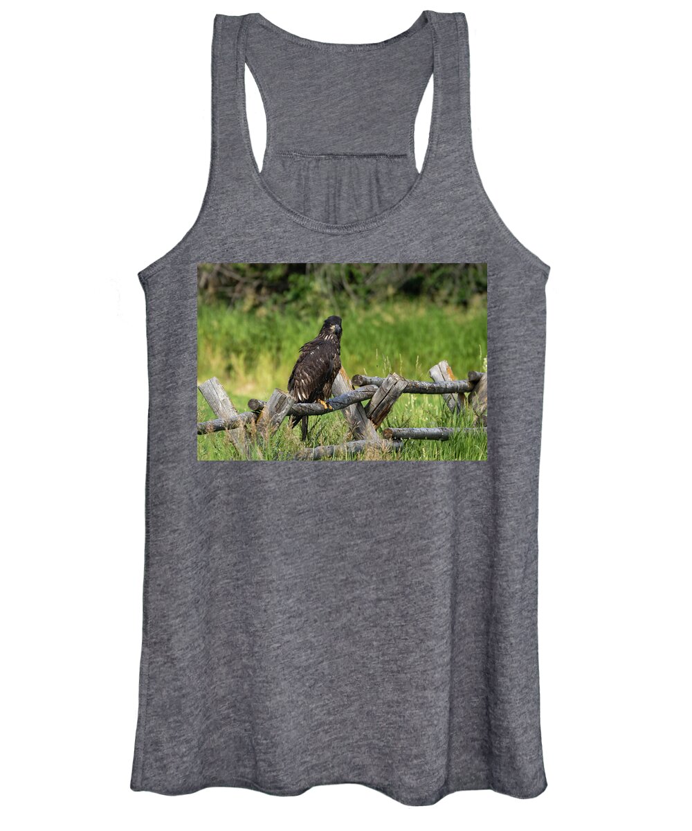 Eagle Women's Tank Top featuring the photograph Fledging by Ronnie And Frances Howard